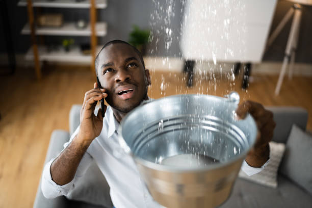 Best Ceiling water damage repair  in Freeland, PA