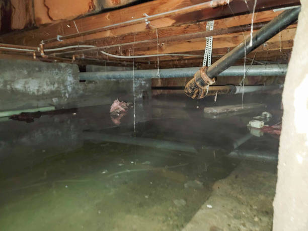 Best Water damage restoration near me  in Freeland, PA