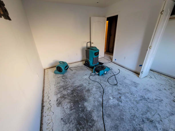 Best Basement water damage restoration  in Freeland, PA