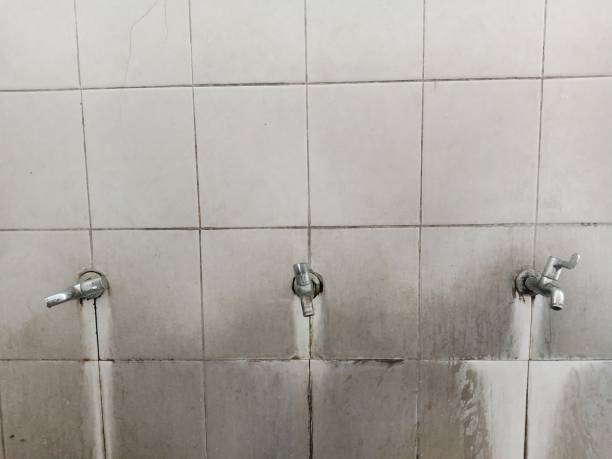 Best Water damage restoration near me  in Freeland, PA