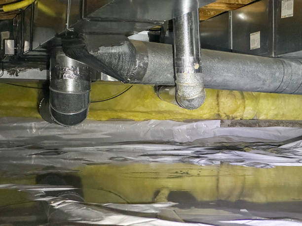 Best Flooded house restoration  in Freeland, PA