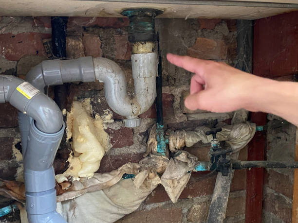Best Sewage cleanup and water damage restoration  in Freeland, PA